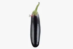 بادمجان درجه 1 - فروشگاه اینترنتی دو جی لو