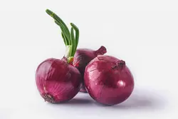 پیاز درجه 1 - فروشگاه اینترنتی دو جی لو
