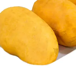 انبه درجه 1 - فروشگاه اینترنتی دو جی لو