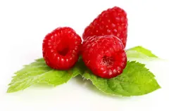 توت درجه 1 - فروشگاه اینترنتی دو جی لو
