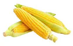 ذرت درجه 1 - فروشگاه اینترنتی دو جی لو