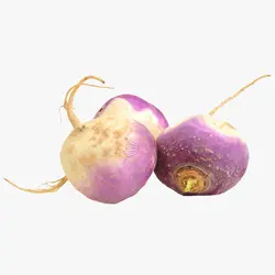شلغم درجه 1 - فروشگاه اینترنتی دو جی لو