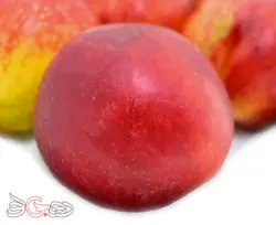 شلیل شبرنگ درجه 1 - فروشگاه اینترنتی دو جی لو