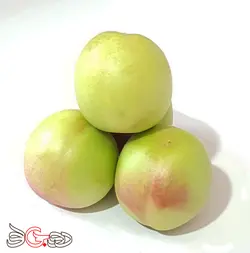 شلیل شمس درجه 1 - فروشگاه اینترنتی دو جی لو