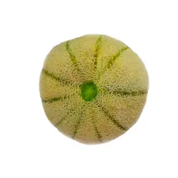 طالبی درجه 1 - فروشگاه اینترنتی دو جی لو