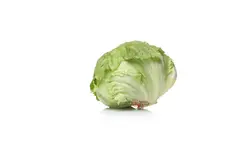 کاهو پیچ درجه 1 - فروشگاه اینترنتی دو جی لو