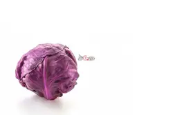 کلم بنفش درجه 1 - فروشگاه اینترنتی دو جی لو