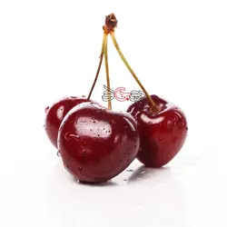 گیلاس درجه 1 - فروشگاه اینترنتی دو جی لو