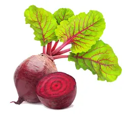 لبو درجه 1 - فروشگاه اینترنتی دو جی لو