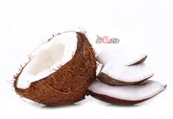 نارگیل درجه 1 - فروشگاه اینترنتی دو جی لو