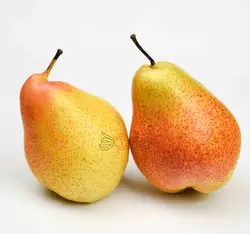گلابی درجه 1 - فروشگاه اینترنتی دو جی لو