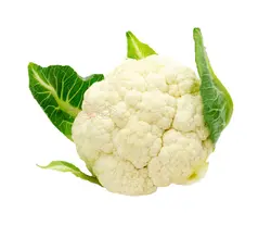 گل کلم درجه 1 - فروشگاه اینترنتی دو جی لو