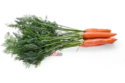 هویج درجه 1 - فروشگاه اینترنتی دو جی لو