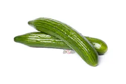 خیار درجه 1 - فروشگاه اینترنتی دو جی لو