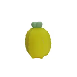 فیجت کاکتوس