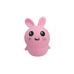 فیجت خرگوش