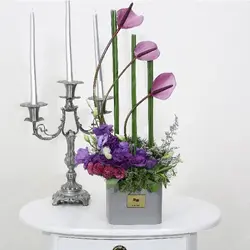 باکس گل آنتوریوم کد 220