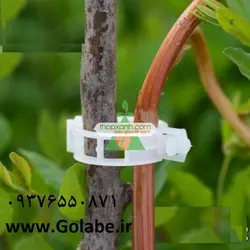 گیره نگهدارنده بوته