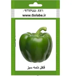 بذر فلفل دلمه سبز
