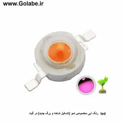 led رنگ آبی 1 وات مخصوص نمو (تشکیل شاخه و برگ جدید) در گیاه