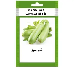بذر کدو سبز