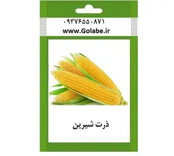 بذر ذرت شیرین