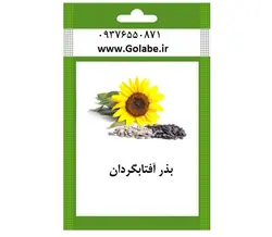 بذر آفتابگردان