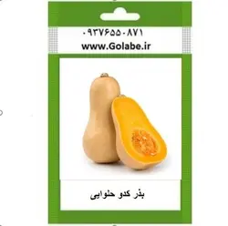 بذر کدو حلوایی