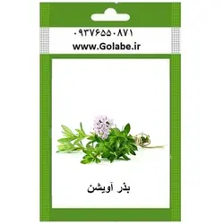 بذر آویشن کوهی