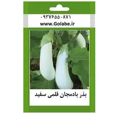 بذر بادمجان سفید قلمی