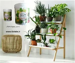 کود مخصوص گیاهان آپارتمانی