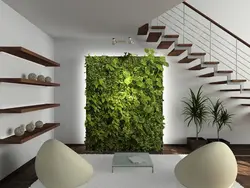 تایمر آبیاری دیوارسبز به همراه سیستم تزریق کود