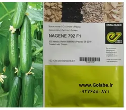 بذر خیار ناگین (بسته 500 عددی)