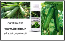 کود مخصوص خیار و کدو (پتاس بالا ) - گلابی