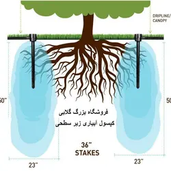 کپسول آبیاری زیرسطحی