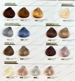 رنگ موی بدون آمونیاک رنوال RENEWAL شماره 6/1 بلوند دودی تیره - گلدن رز و لافرا ❤️ فروشگاه زیبایی سبز