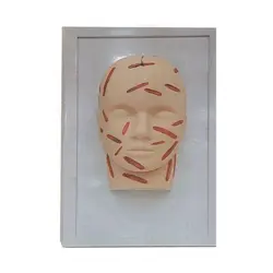 مولاژ آموزش بخیه - Iremade