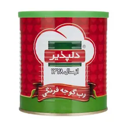 رب گوجه فرنگی دلپذیر مقدار 800 گرم - خرید در منزل