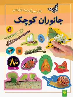 جانوران کوچک