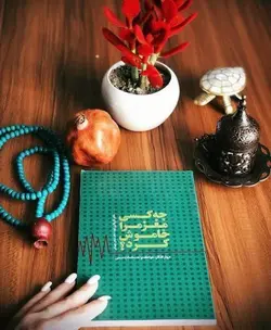 کتاب صوتی چه کسی مغز مرا خاموش کرد نویسنده کارولاین لیف - مجله موفقیت مزدیسنا