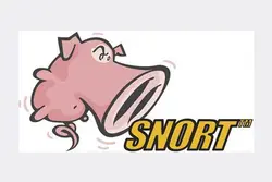 سیستم تشخیص و جلوگیری از نفوذ SNORT
