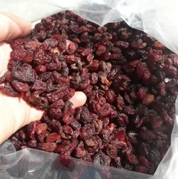 زغال اخته خشک درجه دو