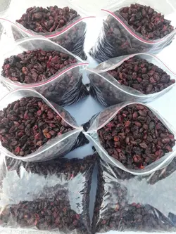 زغال اخته خشک درجه دو