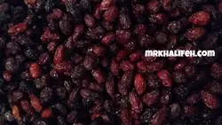 زغال اخته خشک با هسته