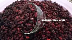 زغال اخته خشک با هسته