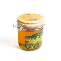 عسل شیشه ای پارس - 600گرم