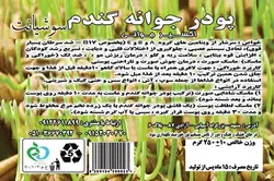 پودر جوانه گندم سوشیانت
