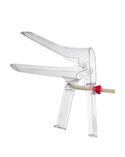 اسپکلوم دلفینی بکر سایز S