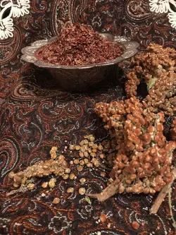 سماق قهوه ای خوشه ای درجه یک - فروش آنلاین گردو تویسرکان