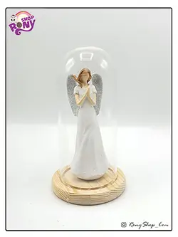 تراریوم شیشه ای انجل